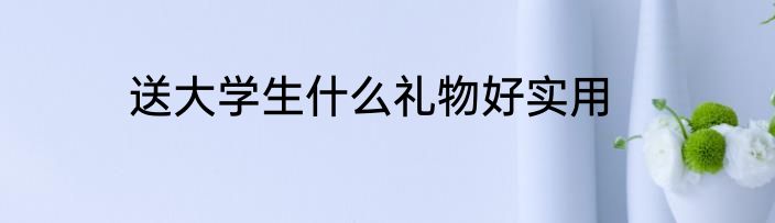 送大学生什么礼物好实用