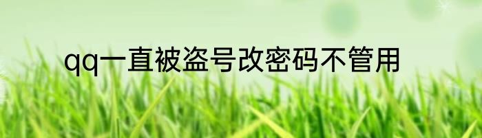 qq一直被盗号改密码不管用