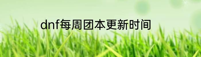 dnf每周团本更新时间