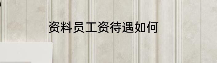 资料员工资待遇如何