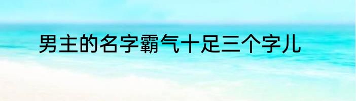 男主的名字霸气十足三个字儿