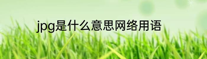 jpg是什么意思网络用语