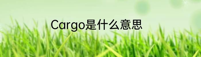 Cargo是什么意思