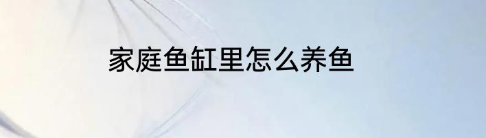 家庭鱼缸里怎么养鱼