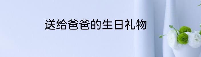 送给爸爸的生日礼物