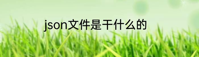 json文件是干什么的