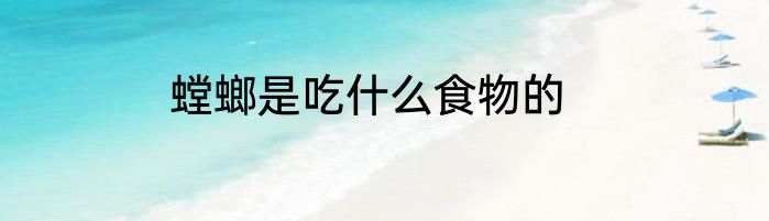螳螂是吃什么食物的