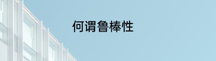 何谓鲁棒性