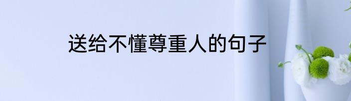 送给不懂尊重人的句子