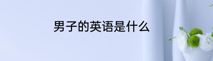 男子的英语是什么