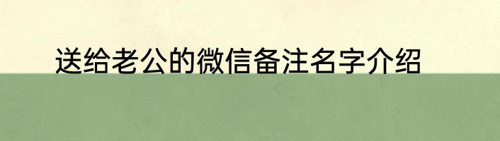 送给老公的微信备注名字介绍