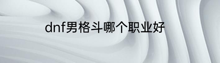 dnf男格斗哪个职业好