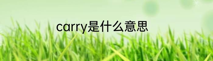 carry是什么意思