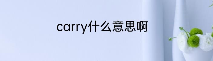 carry什么意思啊