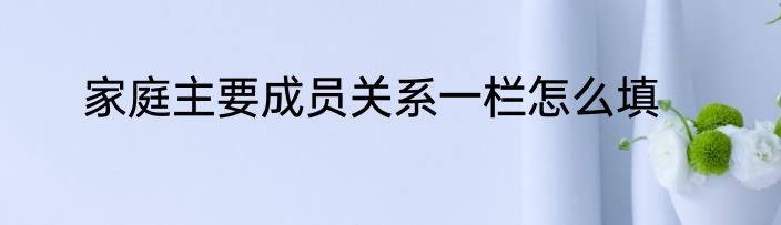 家庭主要成员关系一栏怎么填