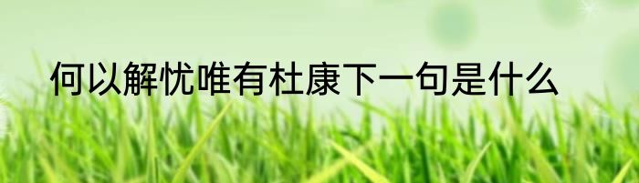 何以解忧唯有杜康下一句是什么