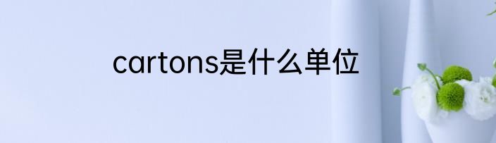 cartons是什么单位