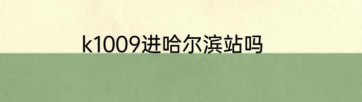 k1009进哈尔滨站吗