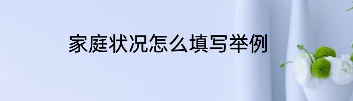 家庭状况怎么填写举例