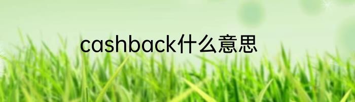 cashback什么意思