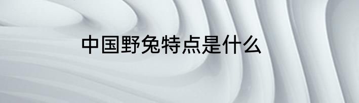中国野兔特点是什么