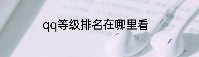 qq等级排名在哪里看