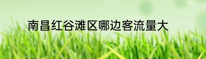 南昌红谷滩区哪边客流量大