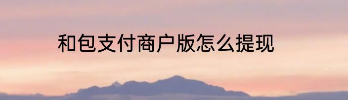 和包支付商户版怎么提现