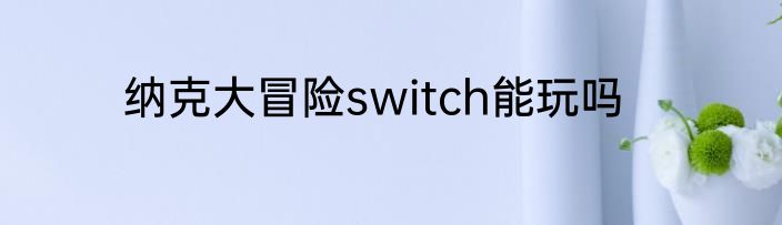 纳克大冒险switch能玩吗