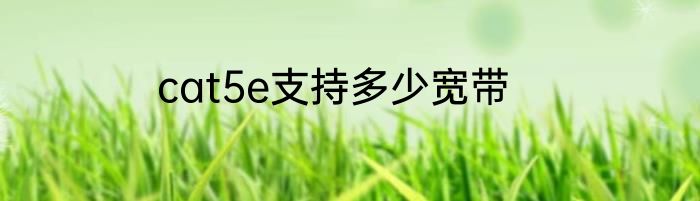 cat5e支持多少宽带