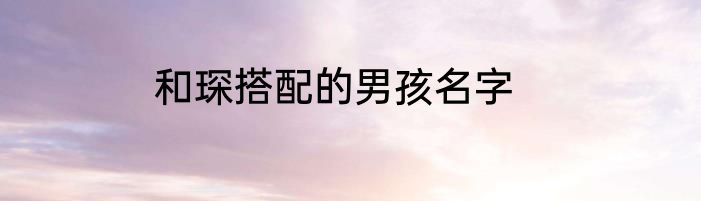 和琛搭配的男孩名字