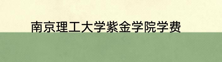 南京理工大学紫金学院学费