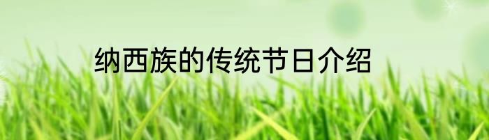 纳西族的传统节日介绍