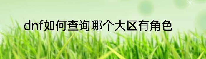 dnf如何查询哪个大区有角色