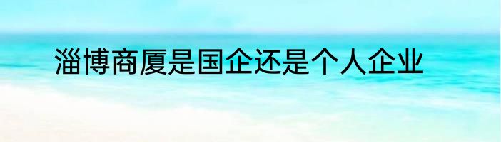淄博商厦是国企还是个人企业