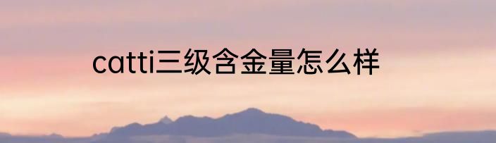 catti三级含金量怎么样