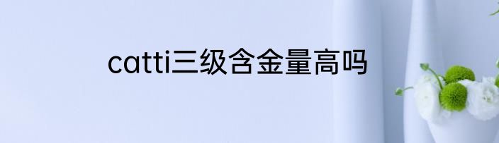catti三级含金量高吗