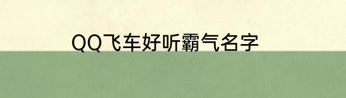 QQ飞车好听霸气名字