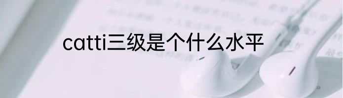 catti三级是个什么水平