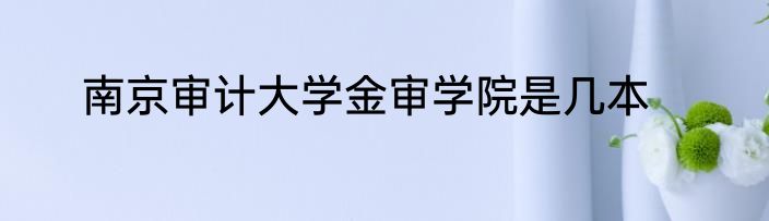 南京审计大学金审学院是几本