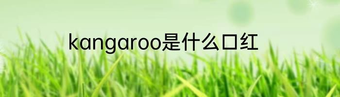 kangaroo是什么口红