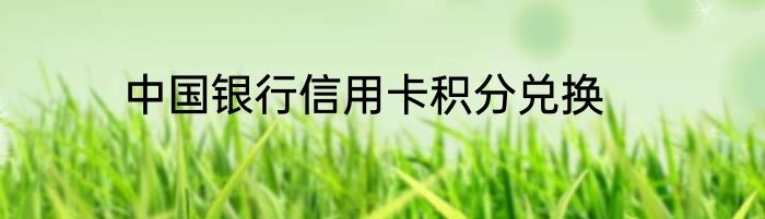 中国银行信用卡积分兑换