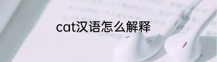 cat汉语怎么解释