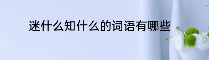 迷什么知什么的词语有哪些