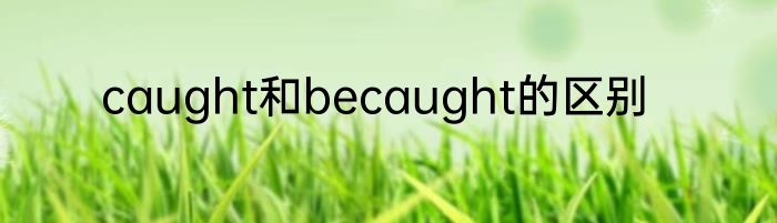 caught和becaught的区别