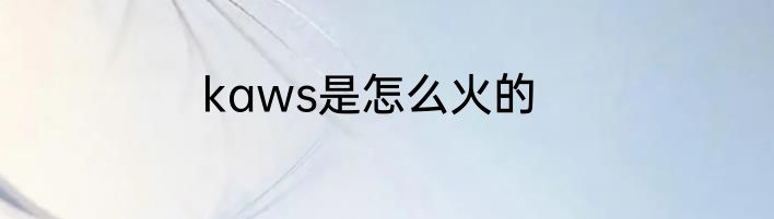 kaws是怎么火的