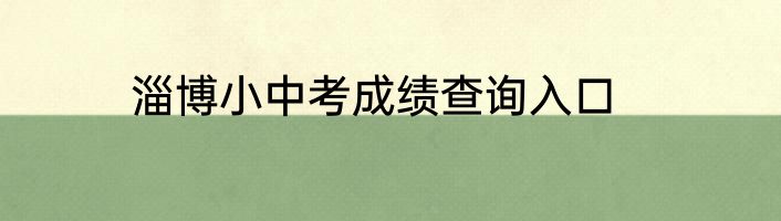 淄博小中考成绩查询入口