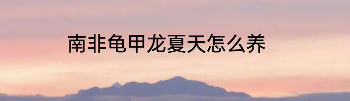 南非龟甲龙夏天怎么养