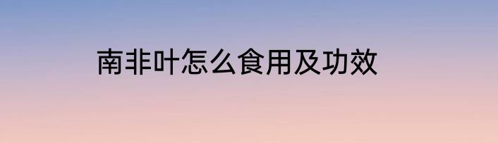 南非叶怎么食用及功效