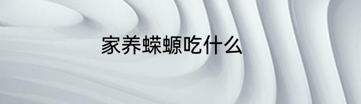 家养蝾螈吃什么